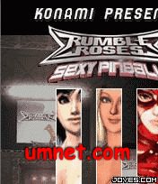 game pic for Rumble Roses Sexy Pinball